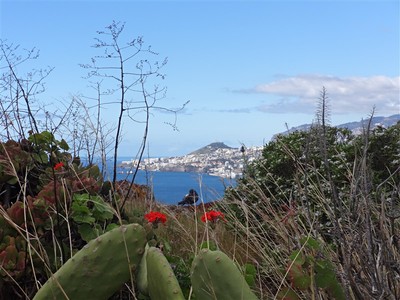 Madeira - květinová a turistická